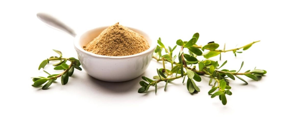 What Are The Benefits of Bacopa Monnieri?