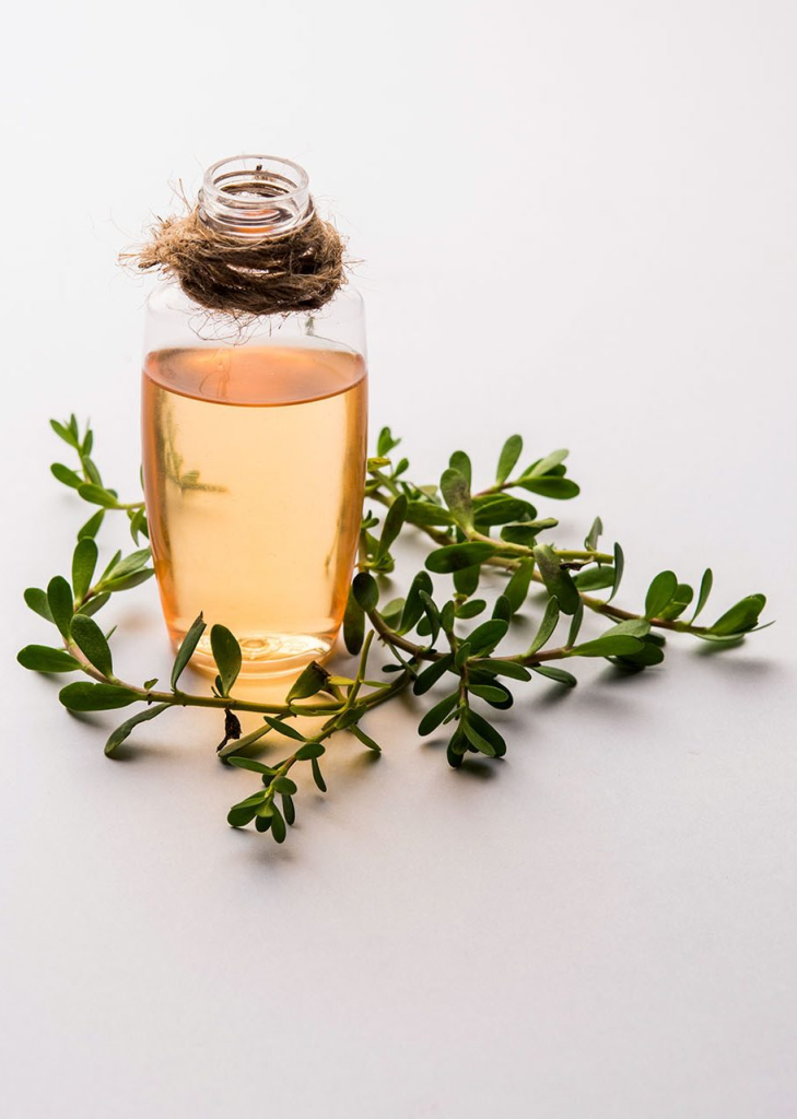 Bacopa Monnieri Oil